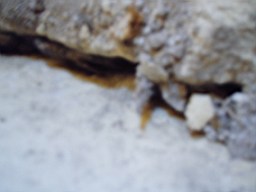 christchurch -2904.jpg
